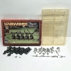 WHFB - Savage Orc Boar Boyz - pikkukuva 2