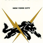The cult new york city dvd - pikkukuva 1
