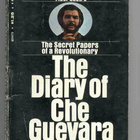 The Diary of Che Guevara - pikkukuva 1
