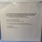 KCD - SIMO GOES POING M-/EX-  12'' MAXI SINGLE - pikkukuva 2