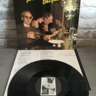 EBBA GRÖN: We’re Only In It For The Drugs! Lp levy - pikkukuva 2