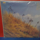 Jukka Tolonen – High Flyin' M-/EX- LP - pikkukuva 2