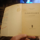 Henrik Horna: Elävä ruumis - pikkukuva 4