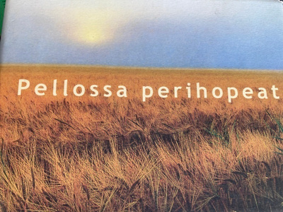 PELLOSSA PERIHOPEAT
