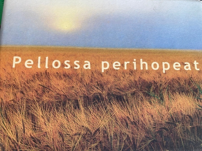 PELLOSSA PERIHOPEAT