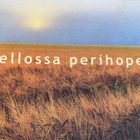 PELLOSSA PERIHOPEAT - pikkukuva 1