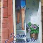 Anneli Kivelä - Kotiin Katajamäelle - pikkukuva 1