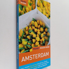 Martin Dunford ym. : Pocket Rough Guide Amsterdam - pikkukuva 1