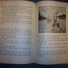 Aukusti Salo: Lapsuuden kultamailla (1945) Sis.postikulut - pikkukuva 4