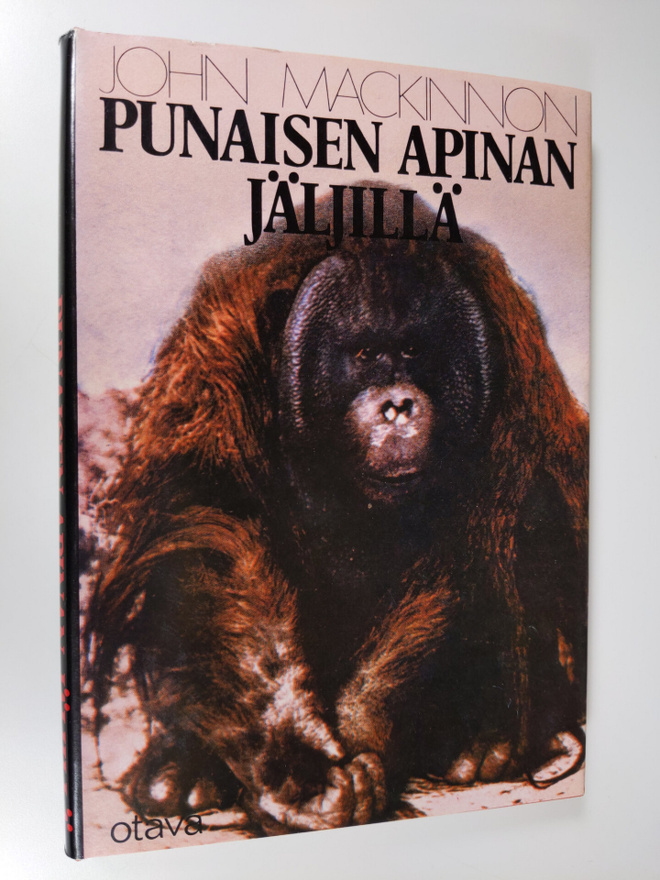 John MacKinnon : Punaisen apinan jäljillä