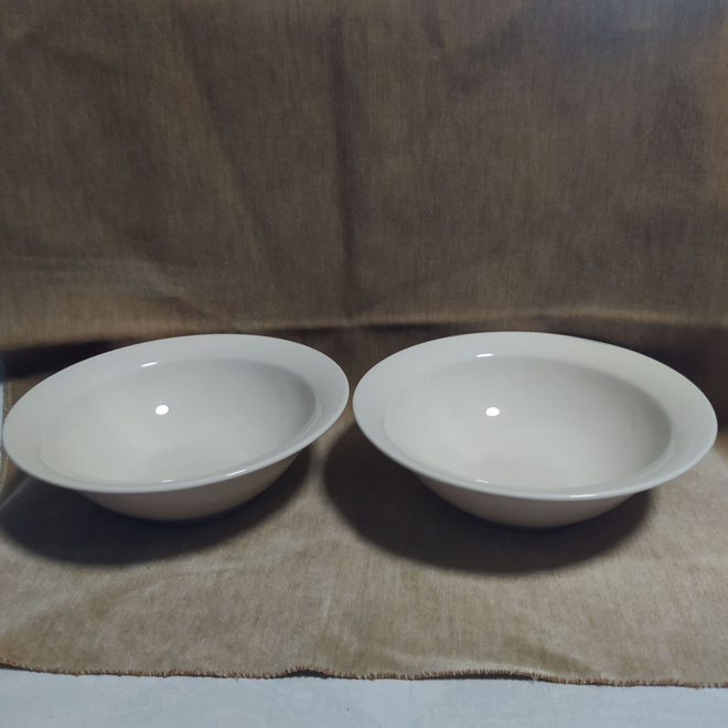 Arabia Arctica lautaset / kulhot 2 kpl