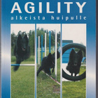 Pertti Vilander: Agility - alkeista huipulle - pikkukuva 1