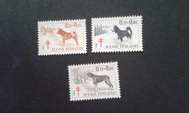 1965 tub koiria sarja**
