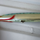 RAPALA MAGNUM FLOATING 26 CM - pikkukuva 3