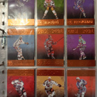 Sisu Hockey Cards - kansio korteilla - pikkukuva 1