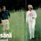 Pikajuna n:o 1 1981 - pikkukuva 4