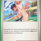 Pokémon Black Belt's Training - pikkukuva 1
