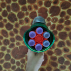 Buzz Bee Ruff Stuff Air Blasters Tek Six -vaahtomuovipyssy - pikkukuva 3