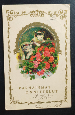 Kissa postikortti käytetty 10.5.1935