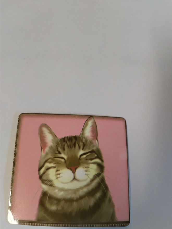Kissa tarra.