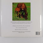 Lesley Bayley ym. : Big Book of Horses - pikkukuva 2