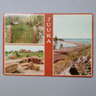 Juuka 5 erilaista korttia - pikkukuva 4