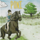 Amanda Wills: Eläinkodin poni - pikkukuva 1
