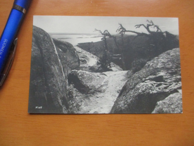Koli *