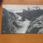 Koli * - pikkukuva 1