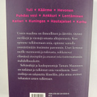 Tamara Maunonen : Suuri unikirja : Avaimet tuhansien unie... - pikkukuva 2