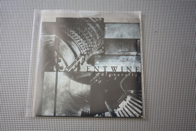 Entwine: diEversity PROMO CD