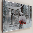 Sointu Thakur : Kidekirjontaa - pikkukuva 1