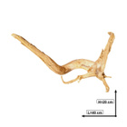 Uniikki akvaariojuurakko 40 cm | P162618 - pikkukuva 4