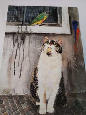 Kissa kortti,kulkematon.