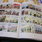 Lucky Luke: Lainsuojattomat - pikkukuva 2