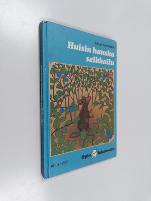 Kaija Pakkanen : Huisin hauska seikkailu