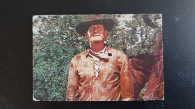 High Chaparral # 55