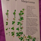 Nimikortti / Nimipäiväkortti Marja-Leena - pikkukuva 1