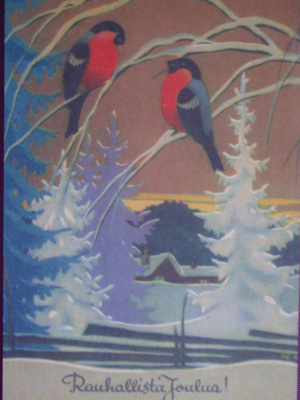 Rudolf Koivu punatulkut oksalla