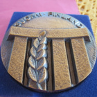 Muistomitali Suomi EU, 1995 - pikkukuva 3