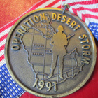 Allies for Peace - Operation Desert Storm 1991 -mitali - pikkukuva 2