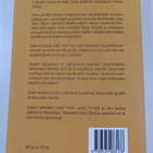 Merja Une Turunen : Narsissiruukku - pikkukuva 2