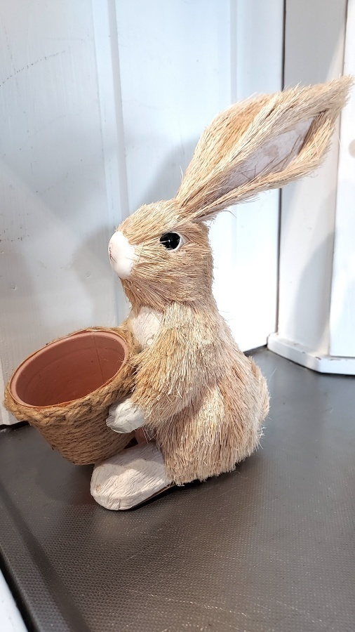 SULOINEN PUPU PÄÄSIÄISEEN