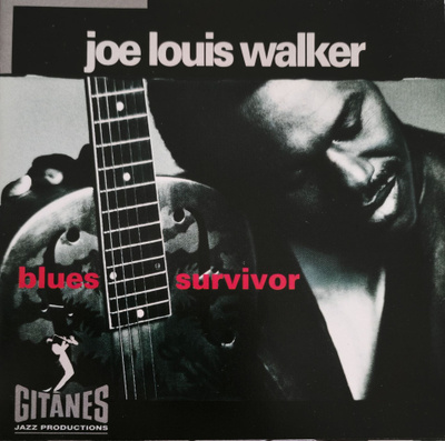 Joe Louis Walker - Blues Survivor (hienokuntoinen cd-levy)