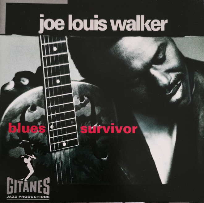 Joe Louis Walker - Blues Survivor (hienokuntoinen cd-levy)