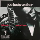 Joe Louis Walker - Blues Survivor (hienokuntoinen cd-levy) - pikkukuva 1