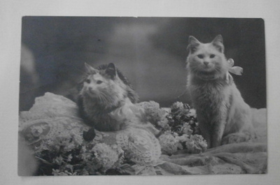 Kaksi kissaa rusetit kaulassa, kukkia, vanha mv pk, p. 1925