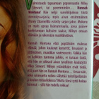 Hannah Montana - Rokkitähden Salaisuus DVD - pikkukuva 3