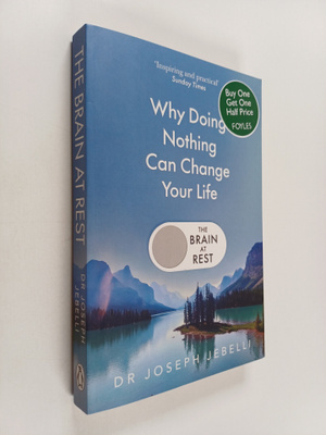 Joseph Jebelli : The brain at rest : why doing nothing ca...
