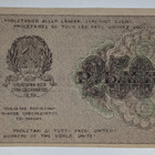 Venäjän SFNT 250 Ruplaa 1919 - pikkukuva 2